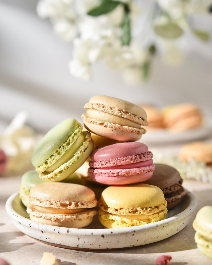 Macaron Sweet